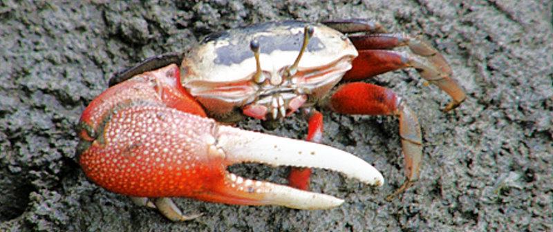 a02淡水八里一日遊-台中出發-