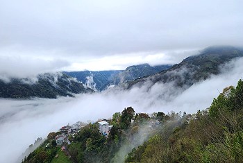 拉拉山旅遊網‧拉拉山民宿推薦