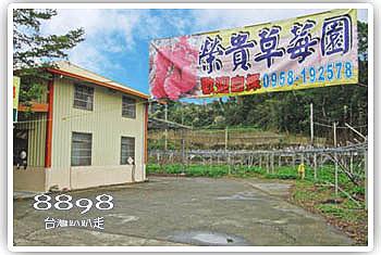 大湖草莓‧榮貴草莓園